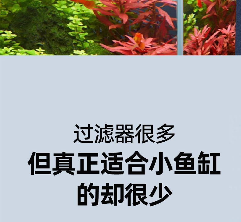 13a551a1-c30a-41e9-8a27-f79bb51346b6.jpe