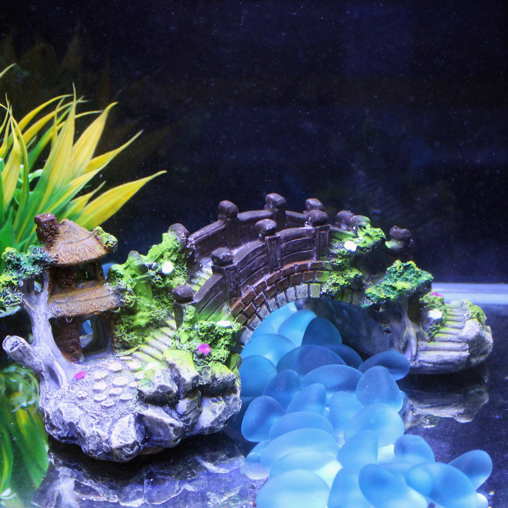 3628372398_1748268318