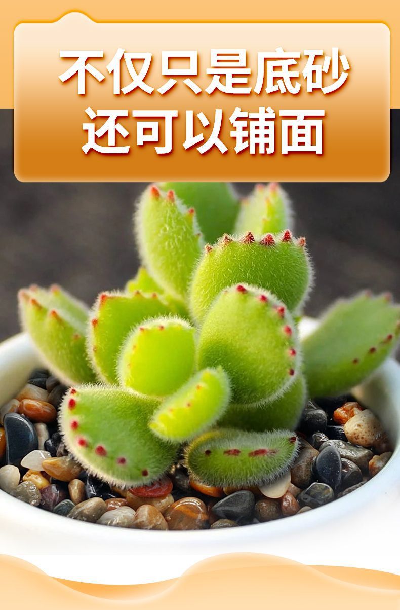 5078861d-8d3f-4ea0-ab1e-9150ef802df5.jpe