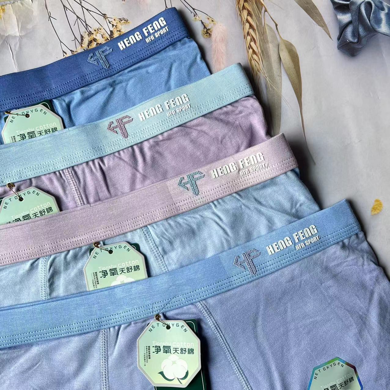 微信图片_20240222224721