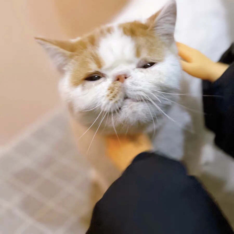 微信图片_202104101618015