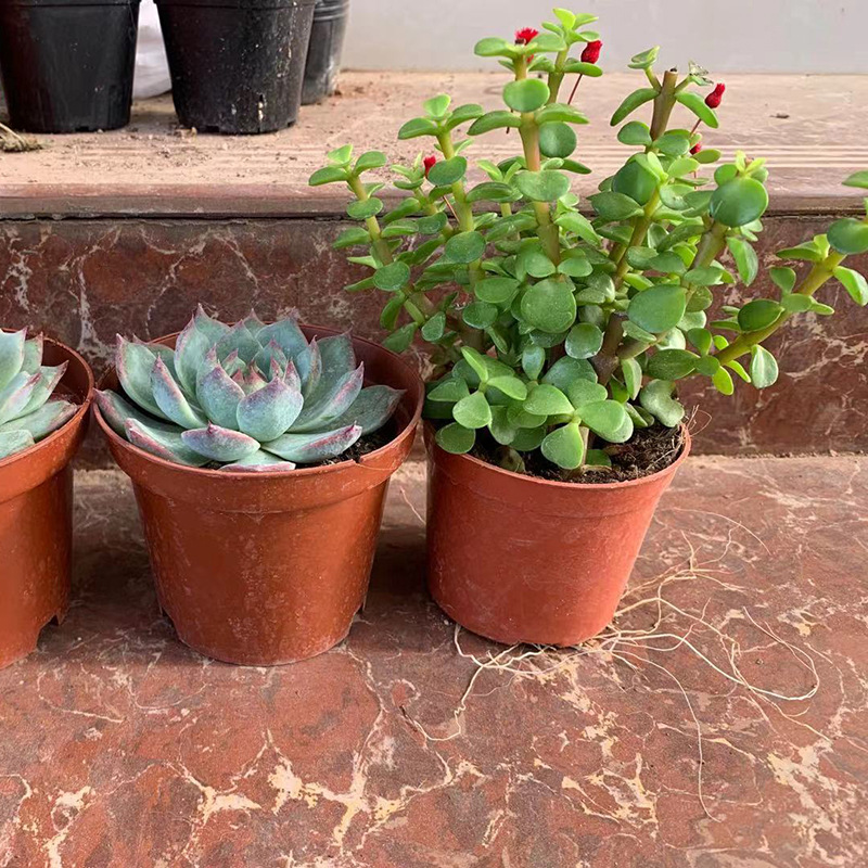 微信图片_20210731172645