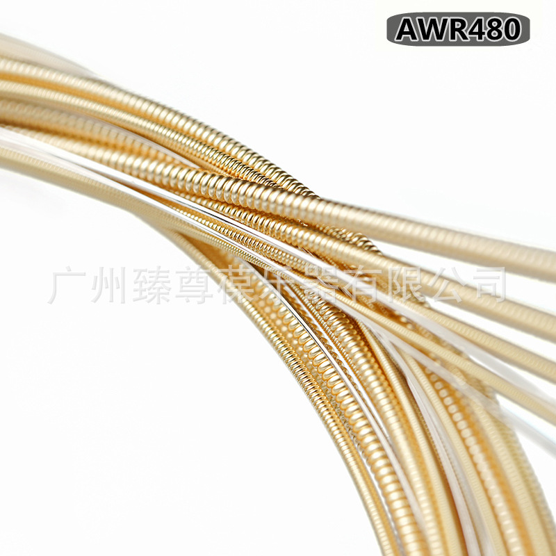 AWR480 486-06.jpg