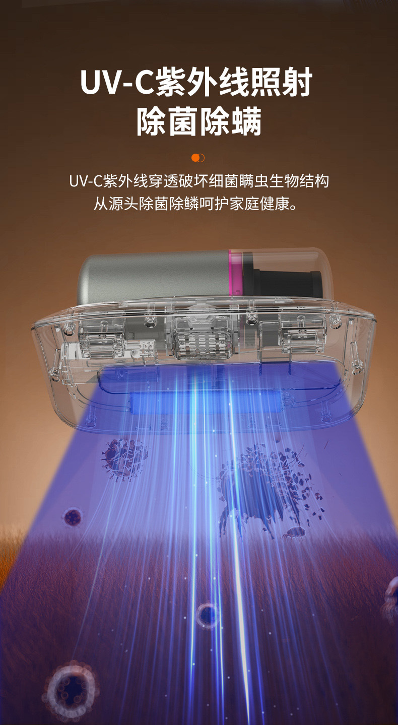 泽