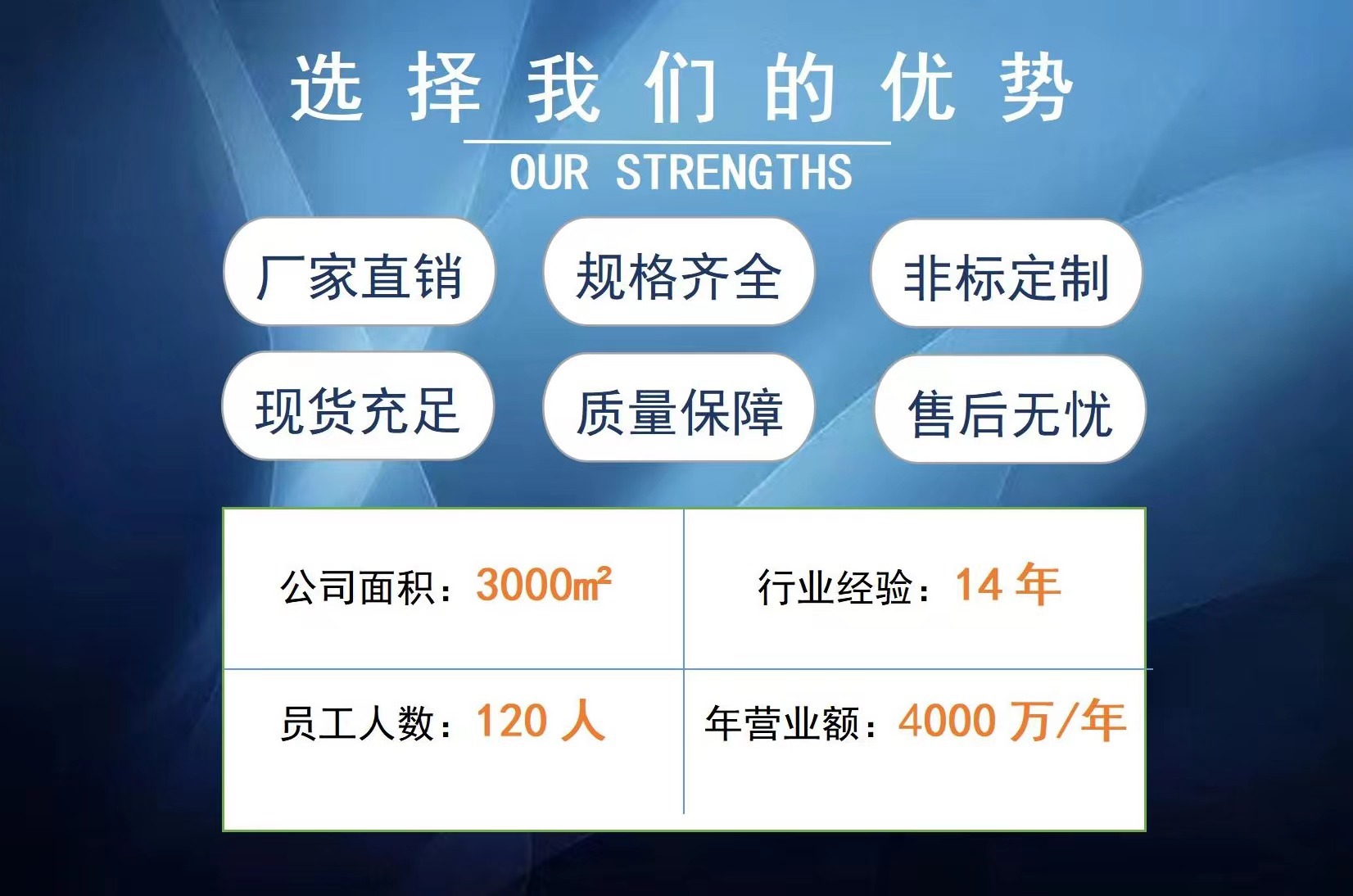 公司优势