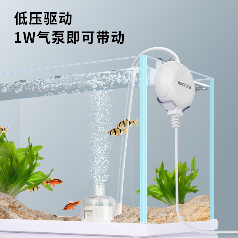 f4b5d929-6e0d-41a0-820c-f99a5951926c.jpe