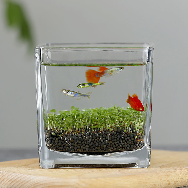 ce8f1114-4bfe-4c40-b81b-fd3541ab2f38.jpe