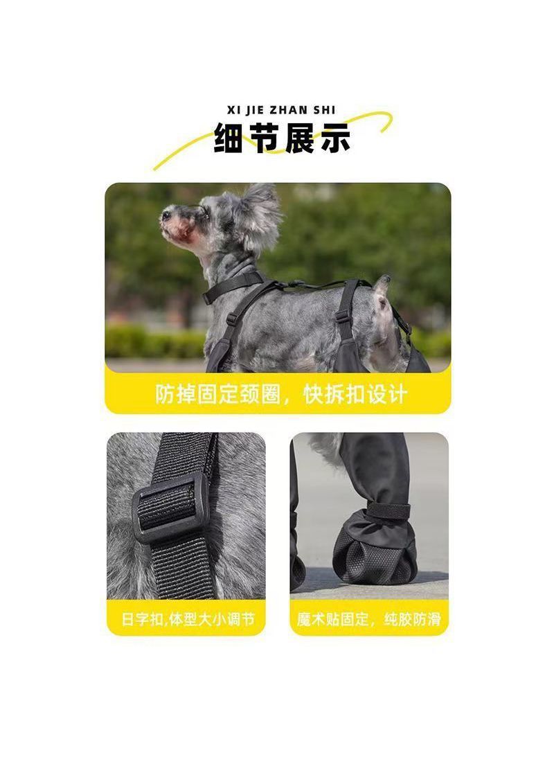 df91736d-5f51-4b5e-8146-2ccd914384fa.jpe