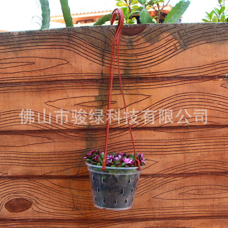 雨点带花3