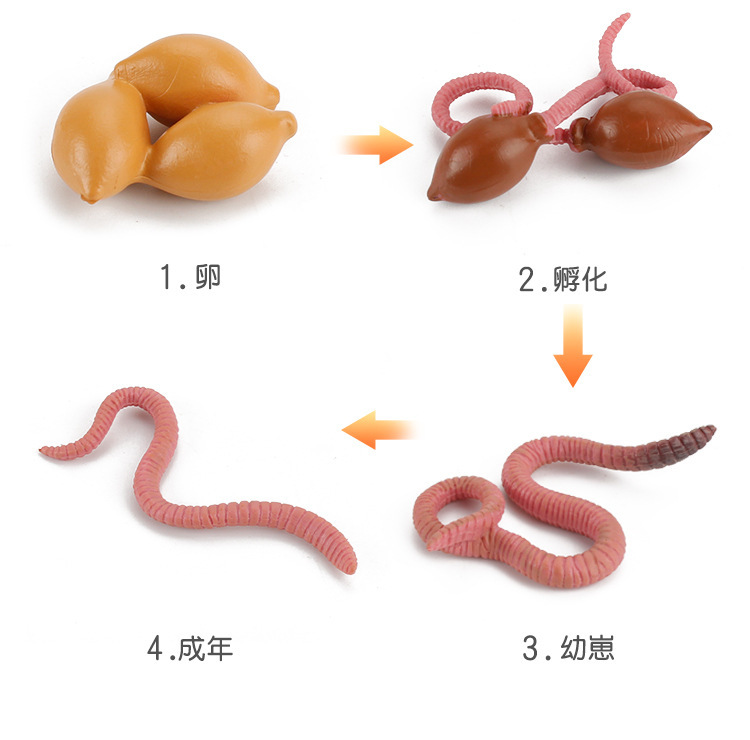 详情_03.jpg