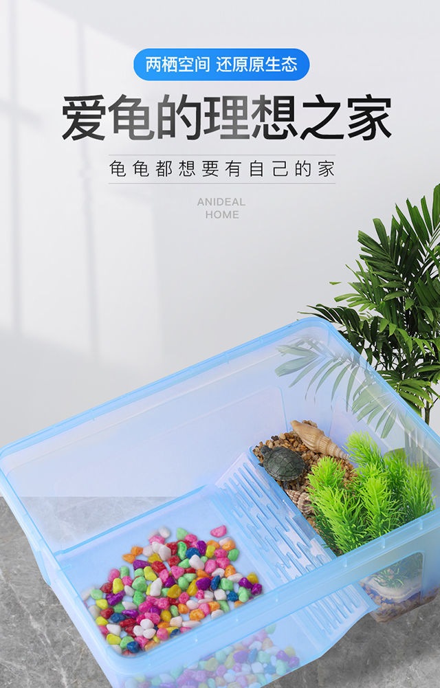 84756067-be6c-4a58-b7b9-9a3b80e73797.jpe