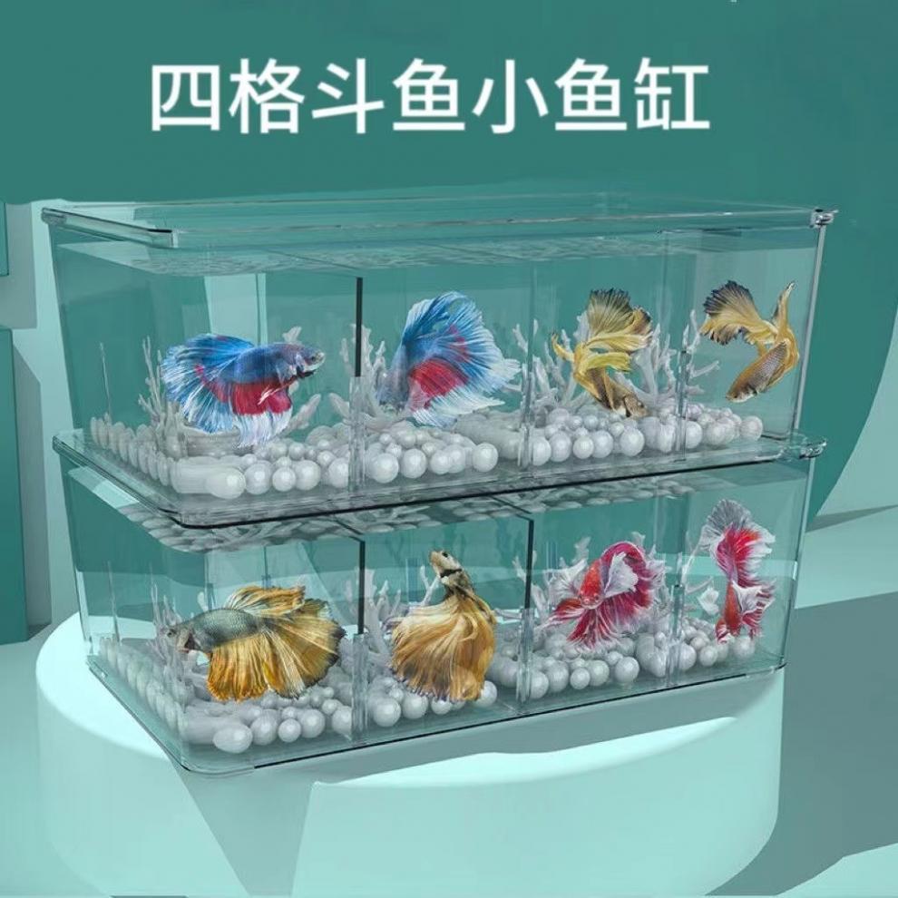 5db8fc3a-2de9-4ca2-b147-2cd04fe2e70e.jpe