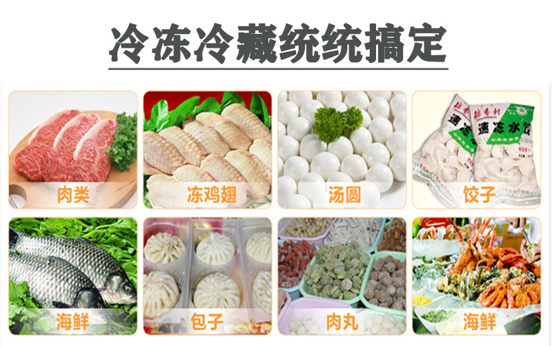 立式冻柜-恢复的_02