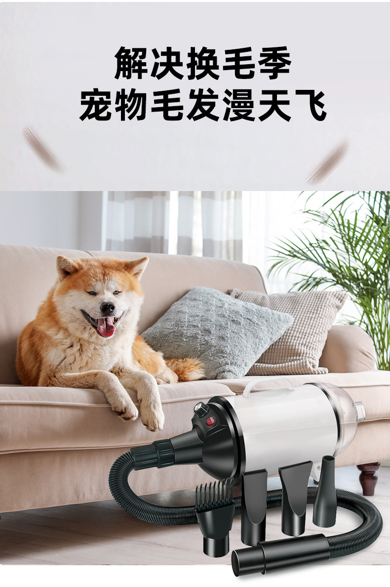 acfabf8a-cf06-4a7a-b396-d54704f89214.jpe