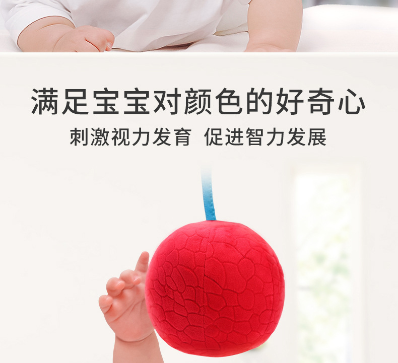 详情8