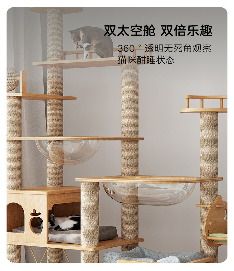 d1026cb6-5fd1-4406-b6ed-2c1e2db7443d.jpe