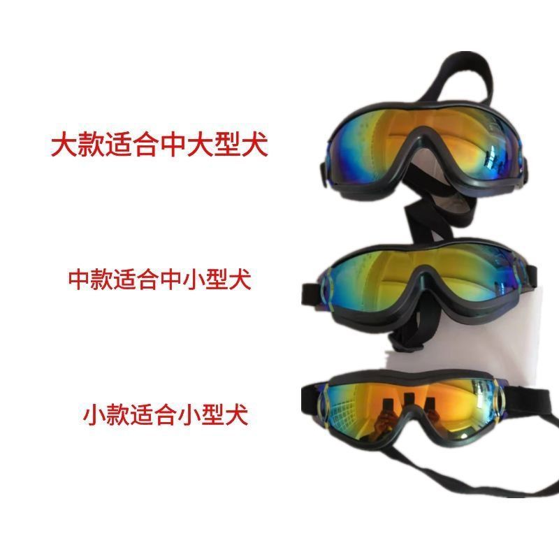 f1e44e50-e740-47c2-9452-f2e2f44800f6.jpe