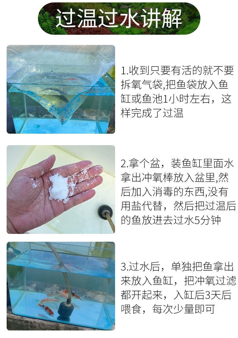 60353bd4-2d79-4b41-9b30-f144621f51f3.jpe