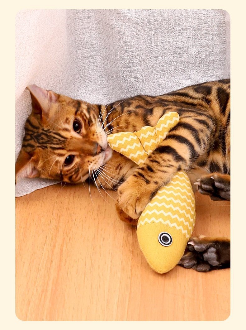 50cfd02e-5f4f-43a6-8885-47e4399f9172.jpe