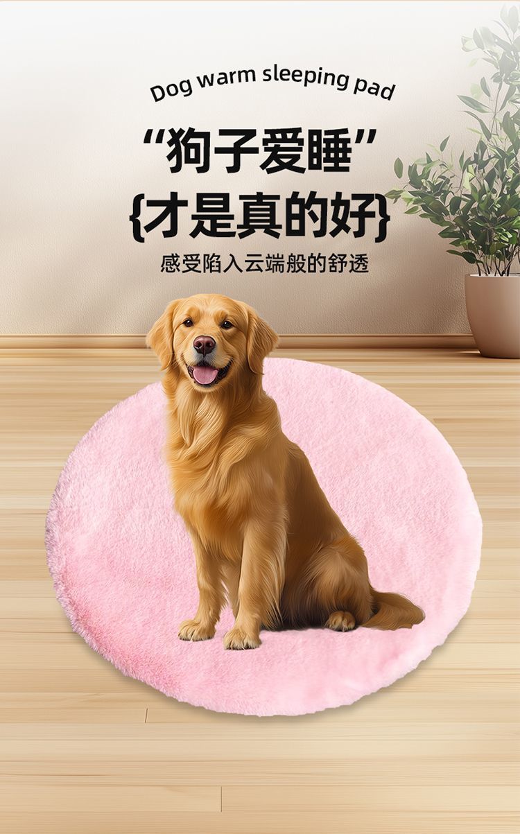 5bc3e43b-b5f5-40a5-87db-92c0dffd386a.jpe