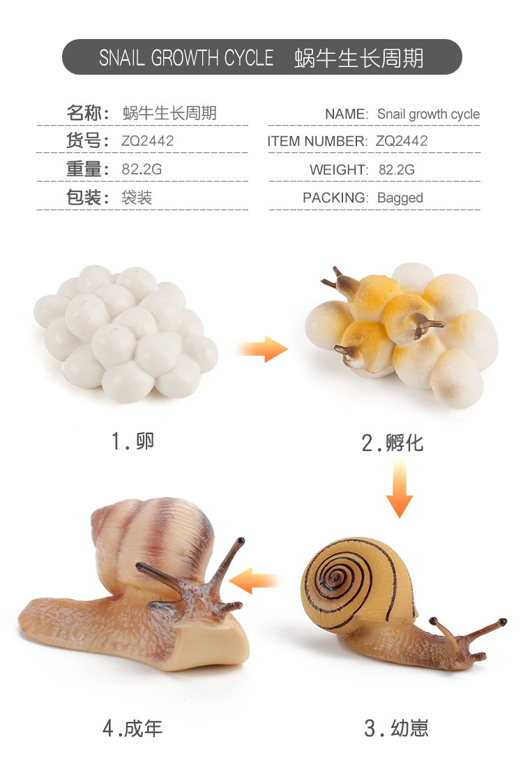详情_08.jpg