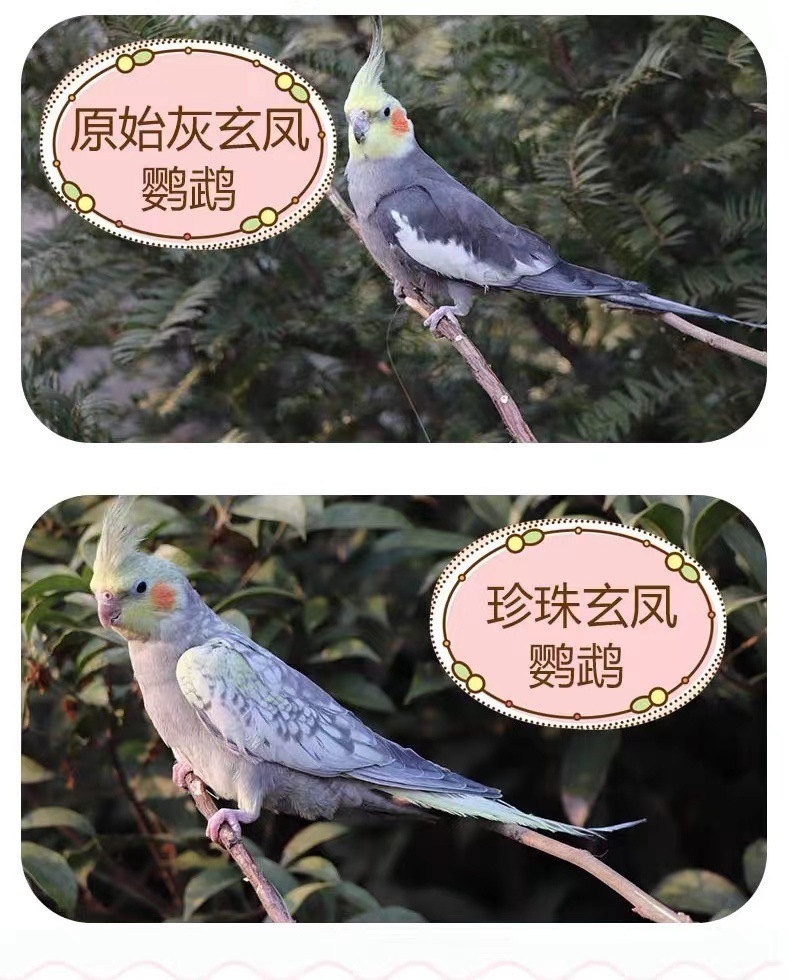d214bc93-0ec6-411d-a8a5-ad645ce8aadc.jpe