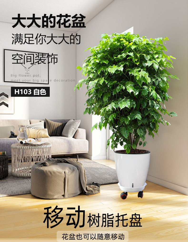 H013托盘-带文字_01.jpg