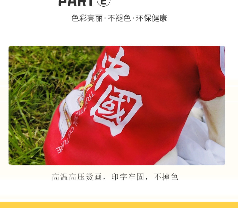 神兽中国爪绒_06.jpg