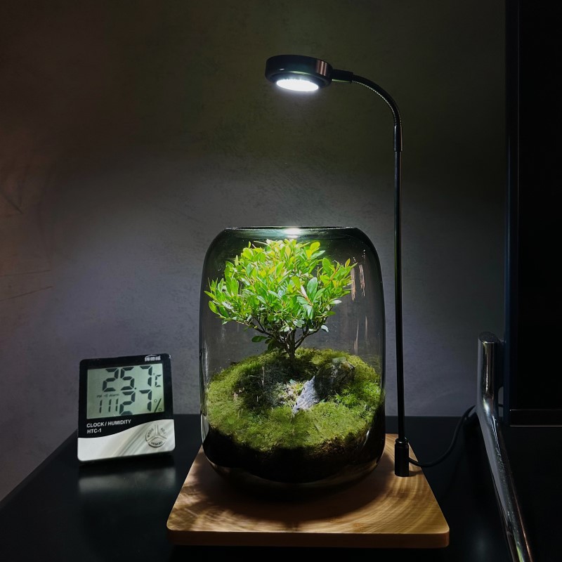 微信图片_20230219113831