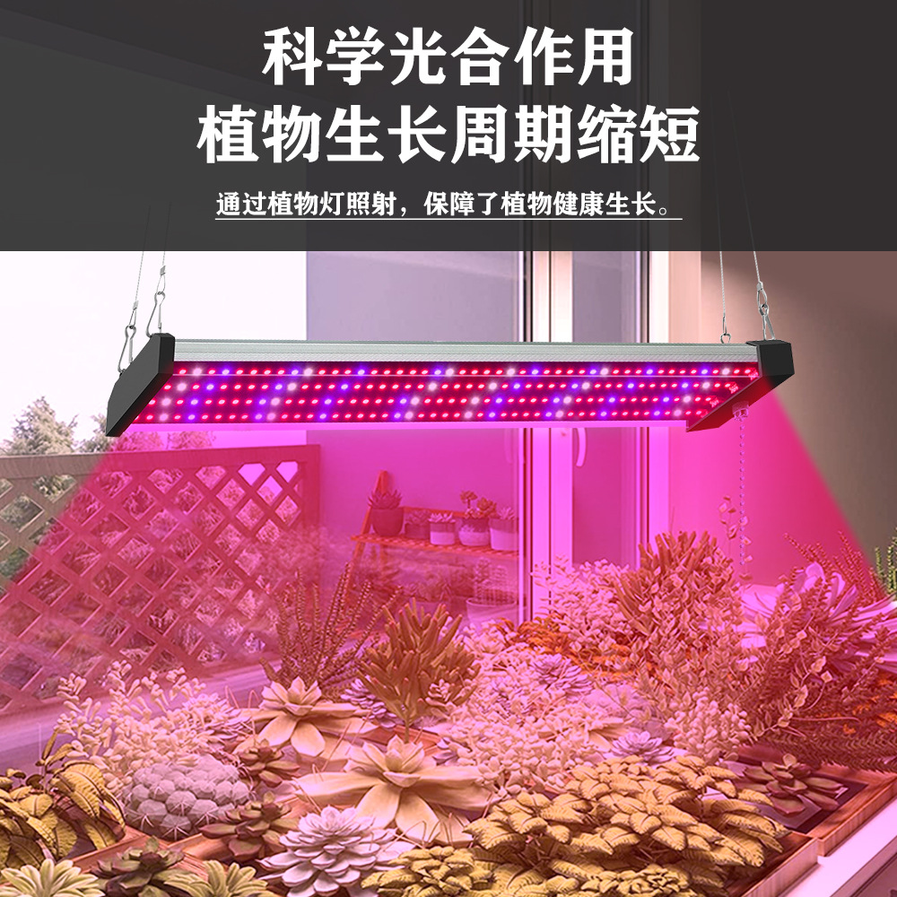 主图11.jpg