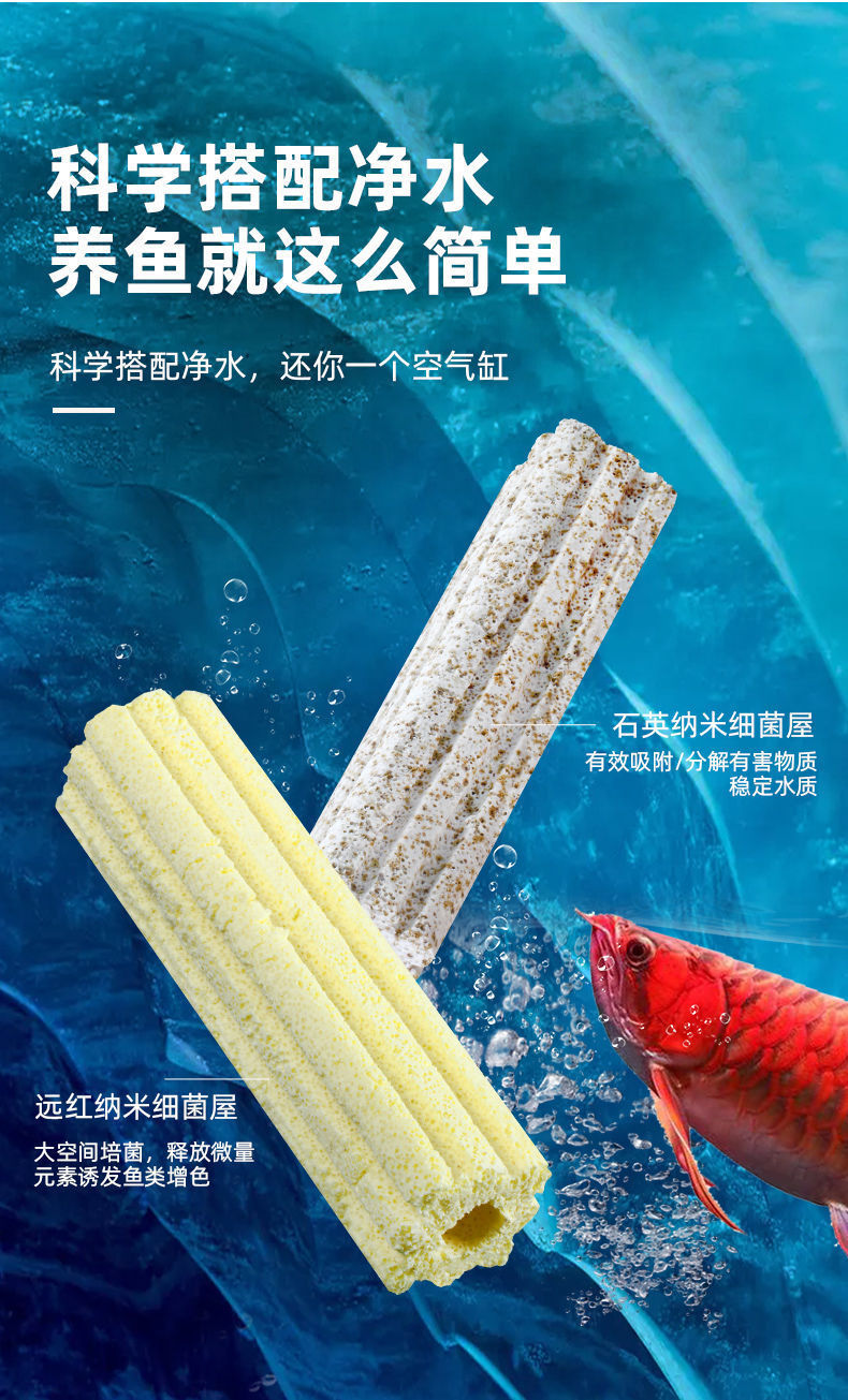 4864a8e1-6af9-4dce-a9a5-f46d2645e8b4.jpe