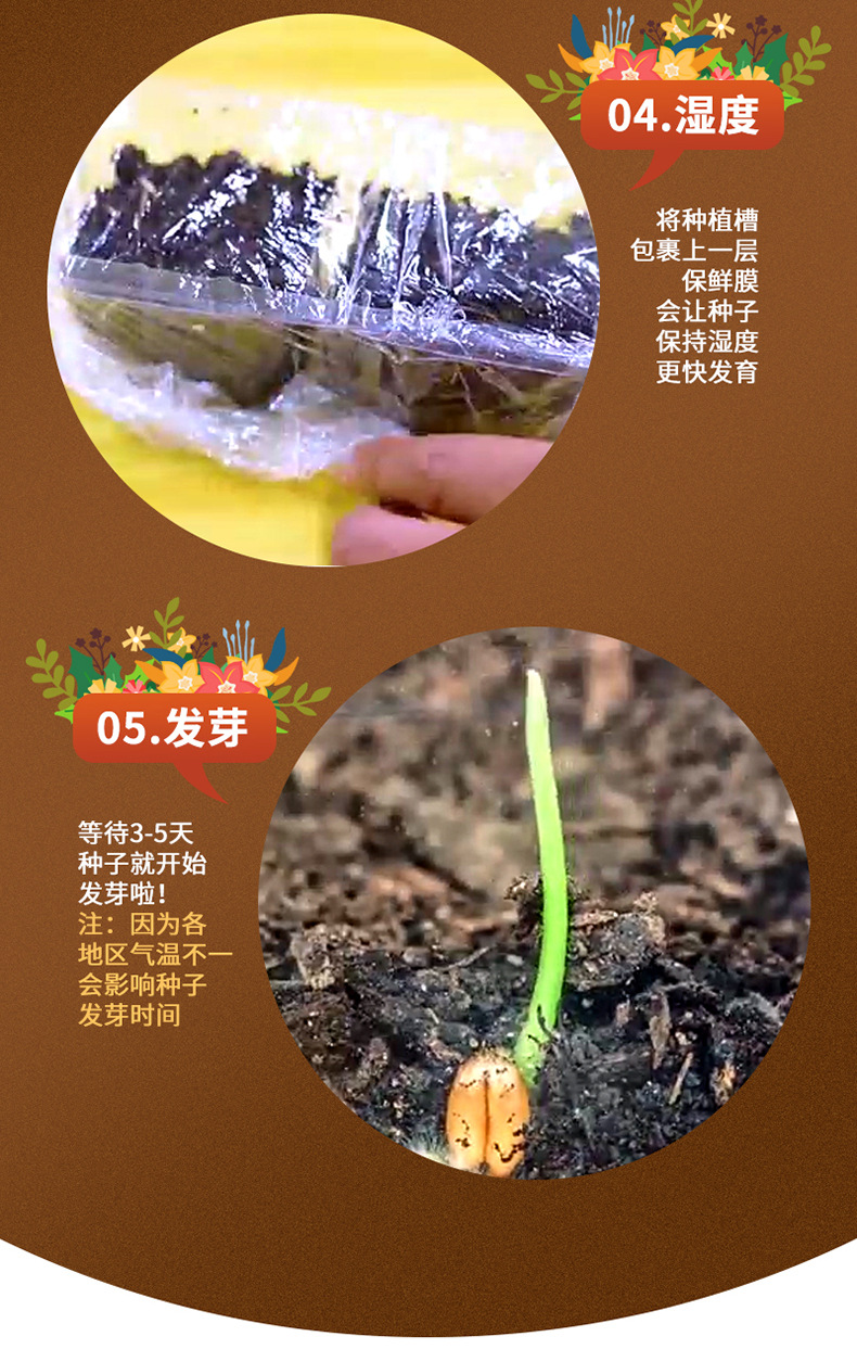 蘑菇屋小花园_06.jpg