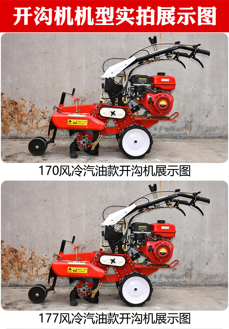 299adf40-b3fc-46e2-a893-db7644fc224b.jpe