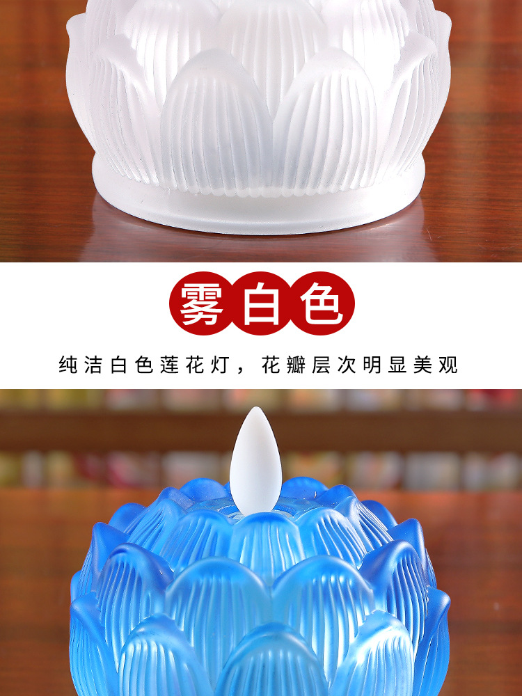 十瓣摇摆_12.jpg