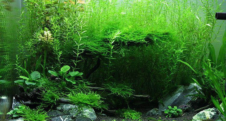 de25797f-fc28-4187-af26-04c2bc585cee.jpe