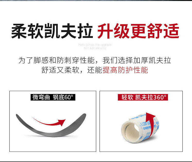 8838中文详情1_09