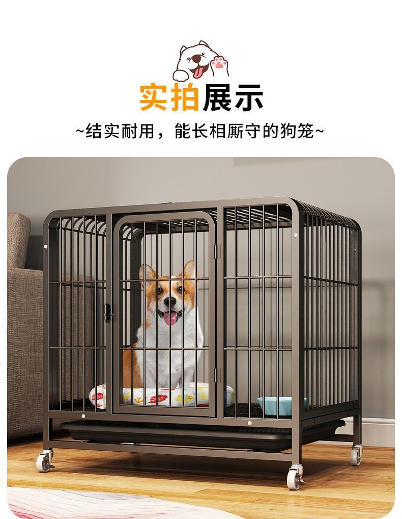 c2f43794-0191-499d-87be-32af123213c4.jpe