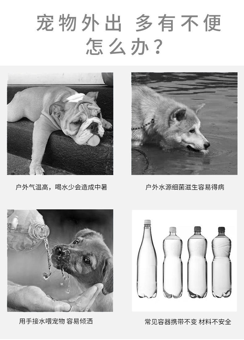 4533827e-54fa-4b6b-ab70-39fd3c17cc66.jpe