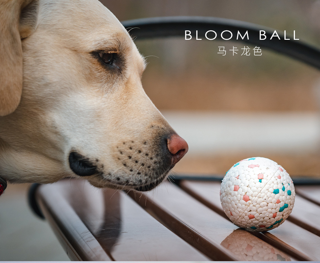 BLOOM-BALL_06