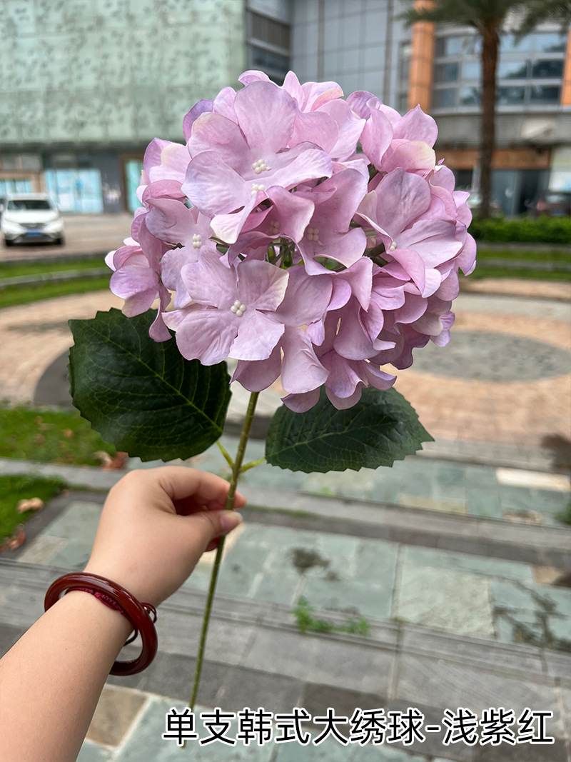 4.单支韩式大绣球-浅紫红
