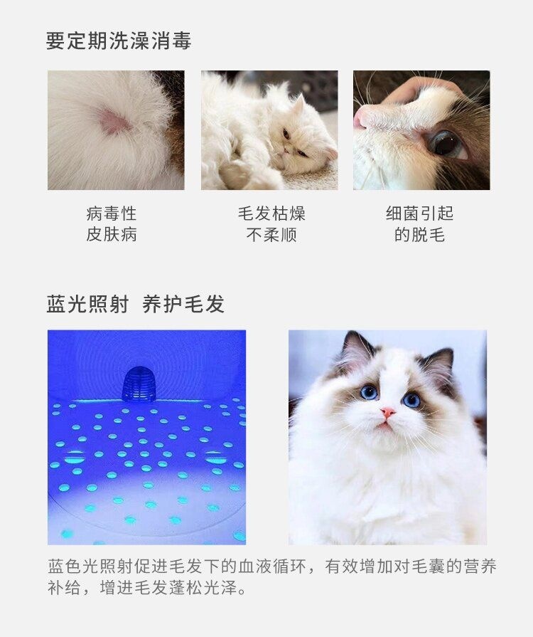 0edfdd5b-6c0c-4bc5-a36a-39748ef2ff56.jpe