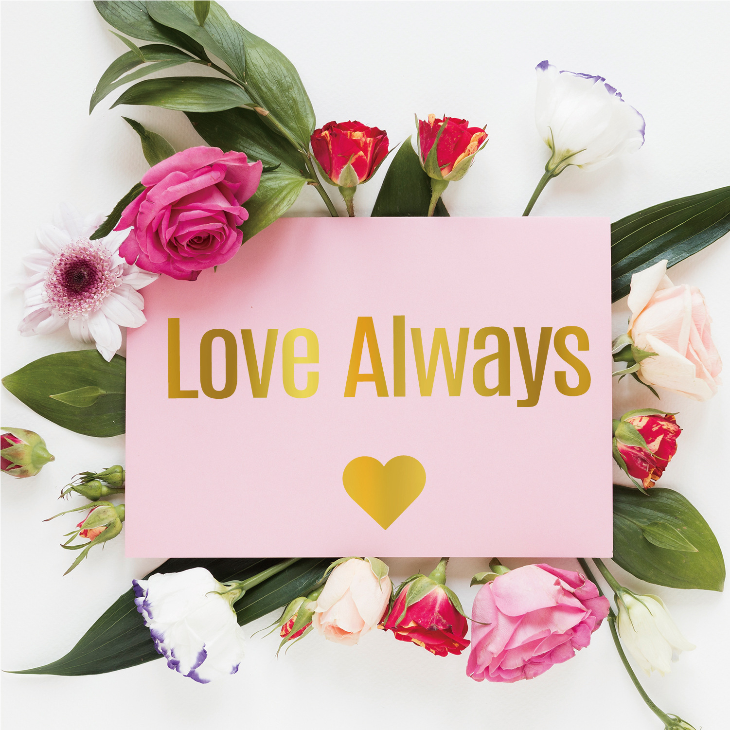 1英寸精装黑体金 主图-08.jpg