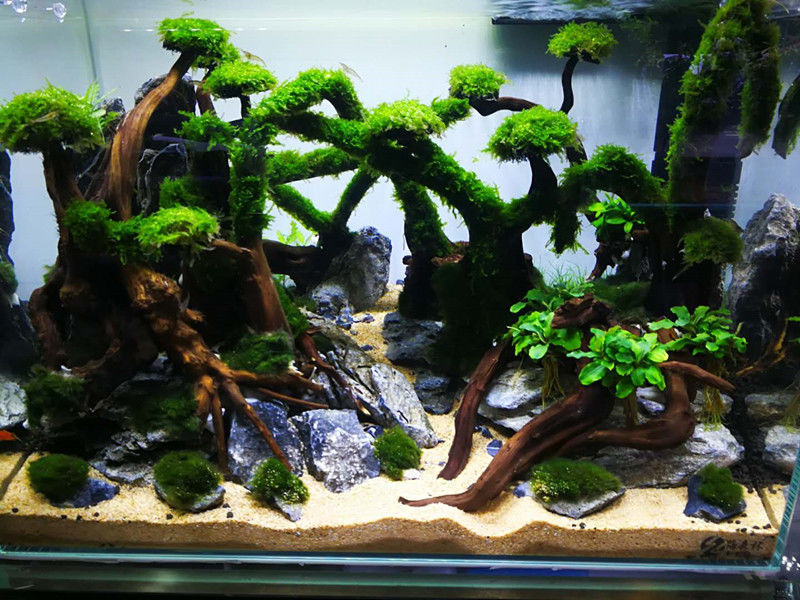 ce27088b-af9e-40d6-b376-b2dea6d94a43.jpe