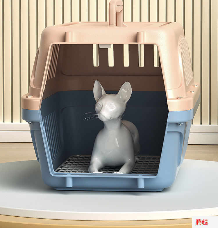 d046833a-ceed-48a8-9634-774f10a2b24d.jpe