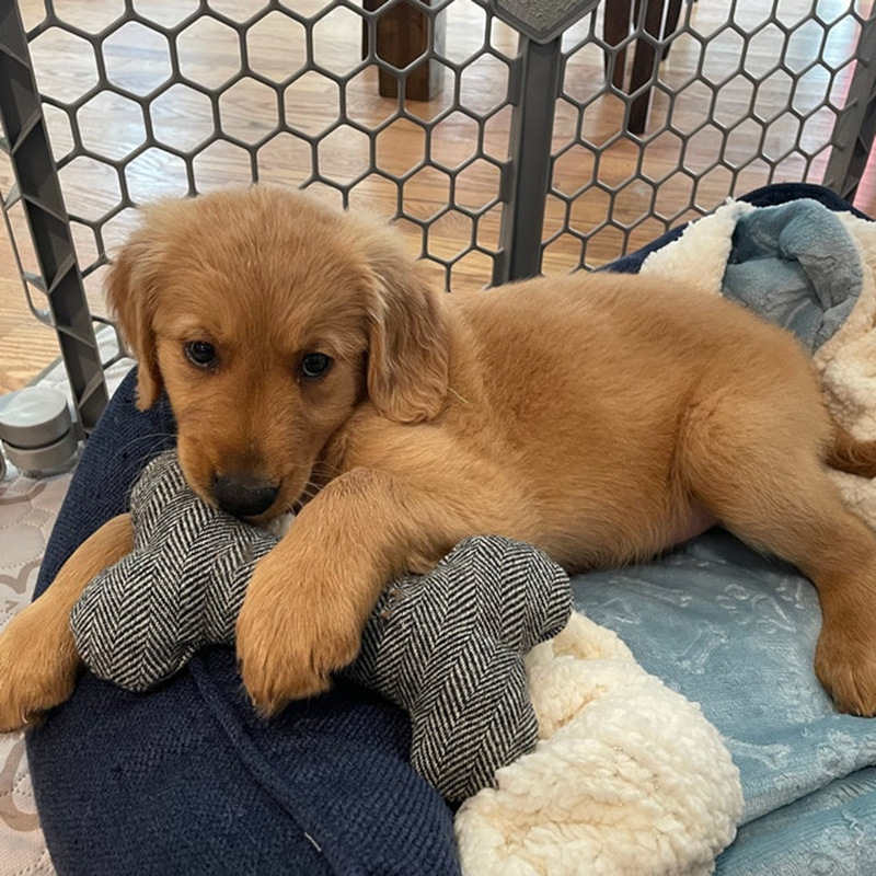 e6a0f8b2-c7c5-4283-a834-1f1602