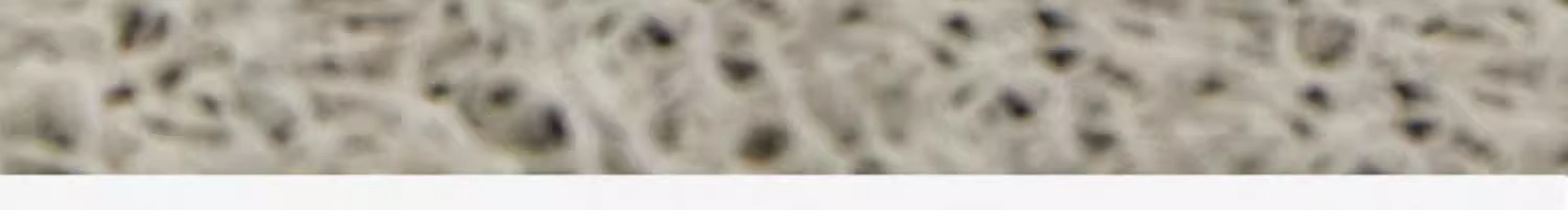 地垫地毯,丝圈地垫,日式地垫,入户门垫,可剪裁,蹭土蹭泥