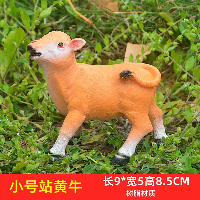 DSC_0016_副本1.jpg