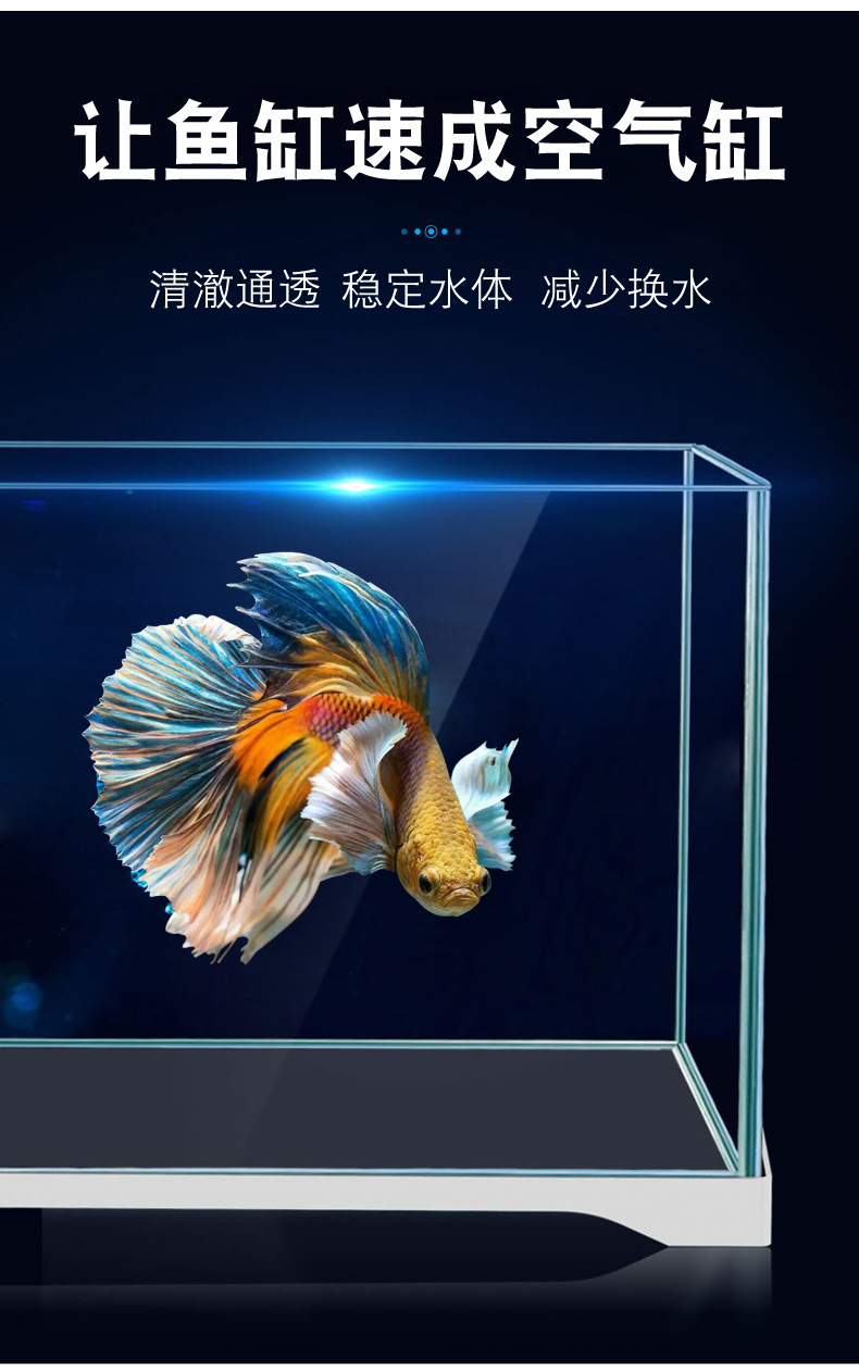 详情_11.jpg