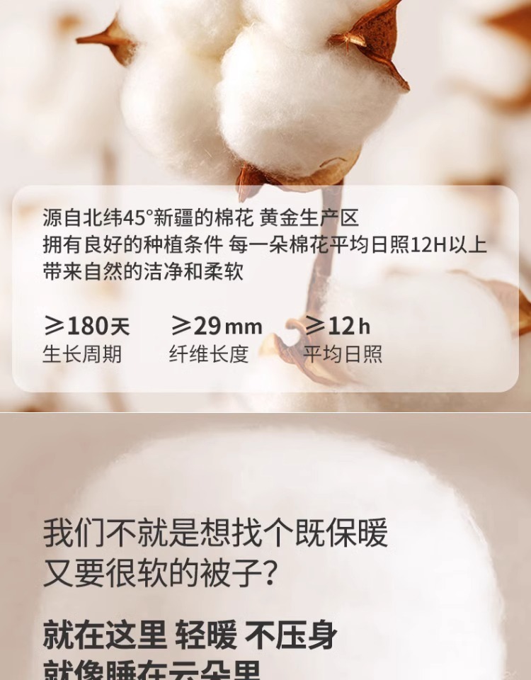 3bcc5b62-f74b-4c39-aa36-a577b171fc86.jpe