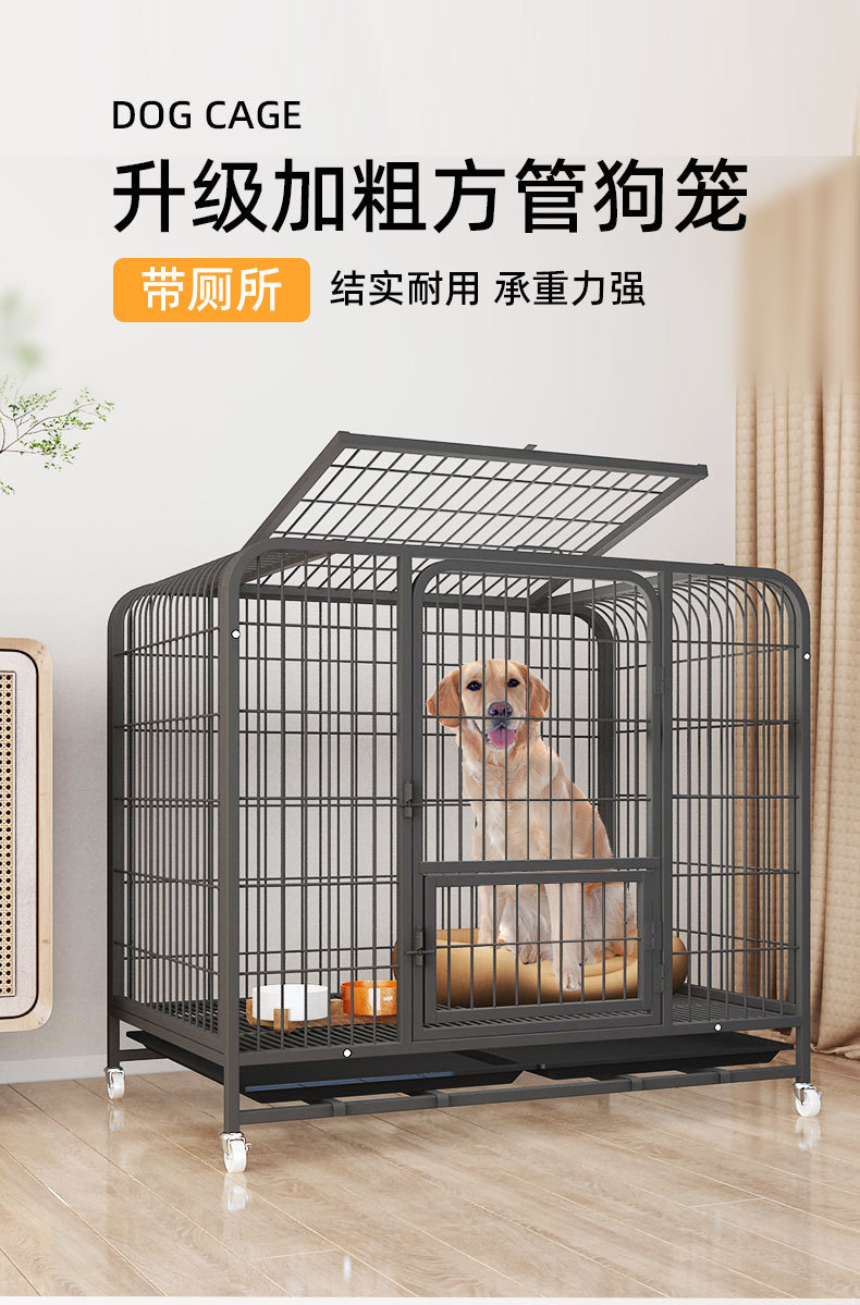 1260f6d4-4dbb-4803-841c-c38f427cc690.jpe